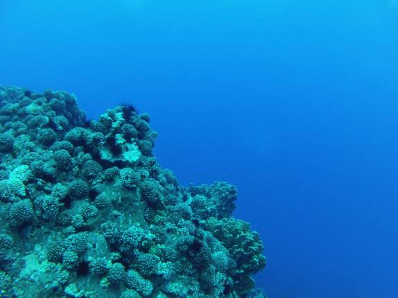 Uma das águas mais limpas e claras de todo o continente, na Ilha da Páscoa, território chileno no meio do Oceano Pacífico